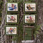(image for) Prairie Fairies